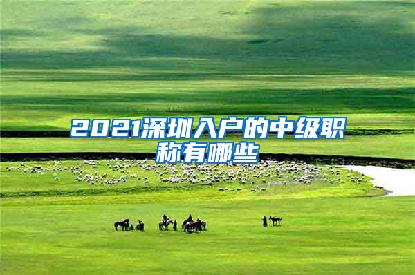 2021深圳入户的中级职称有哪些