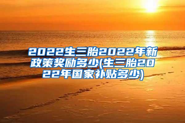 2022生三胎2022年新政策奖励多少(生三胎2022年国家补贴多少)