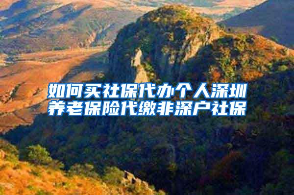 如何买社保代办个人深圳养老保险代缴非深户社保