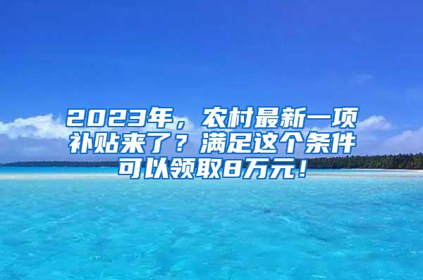 2023年，农村最新一项补贴来了？满足这个条件可以领取8万元！