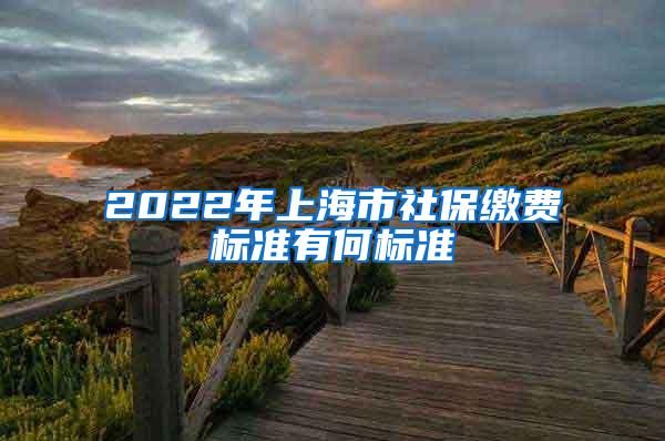 2022年上海市社保缴费标准有何标准