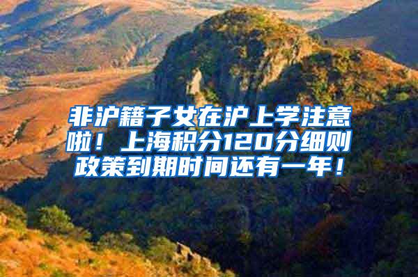 非沪籍子女在沪上学注意啦！上海积分120分细则政策到期时间还有一年！