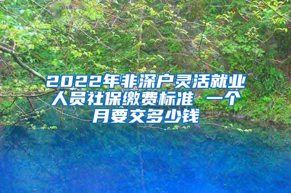 2022年非深户灵活就业人员社保缴费标准 一个月要交多少钱