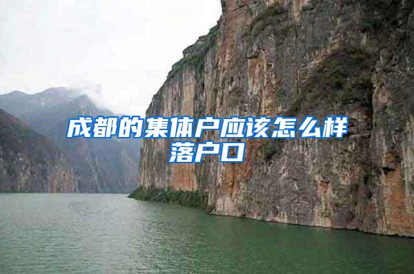 成都的集体户应该怎么样落户口