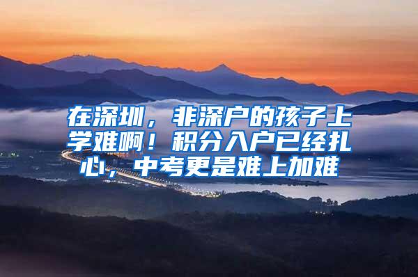 在深圳，非深户的孩子上学难啊！积分入户已经扎心，中考更是难上加难
