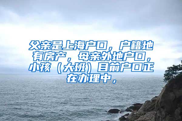 父亲是上海户口，户籍地有房产，母亲外地户口，小孩（大班）目前户口正在办理中，