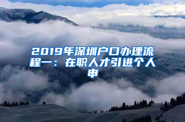 2019年深圳户口办理流程一：在职人才引进个人申