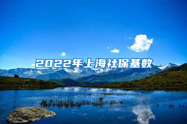 2022年上海社保基数