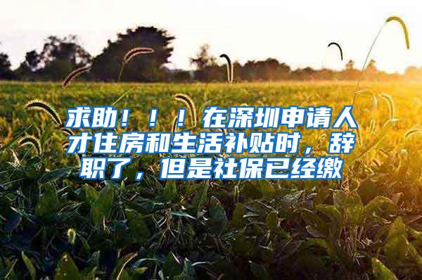 求助！！！在深圳申请人才住房和生活补贴时，辞职了，但是社保已经缴