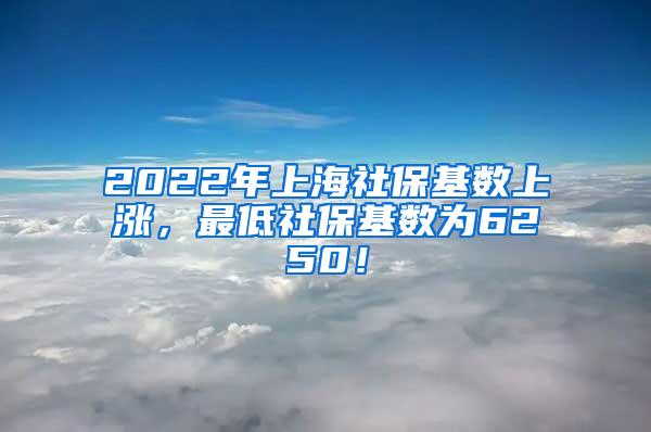 2022年上海社保基数上涨，最低社保基数为6250！