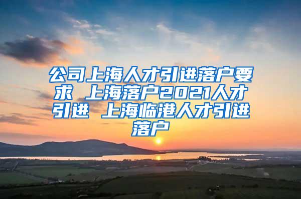 公司上海人才引进落户要求 上海落户2021人才引进 上海临港人才引进落户