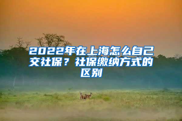 2022年在上海怎么自己交社保？社保缴纳方式的区别