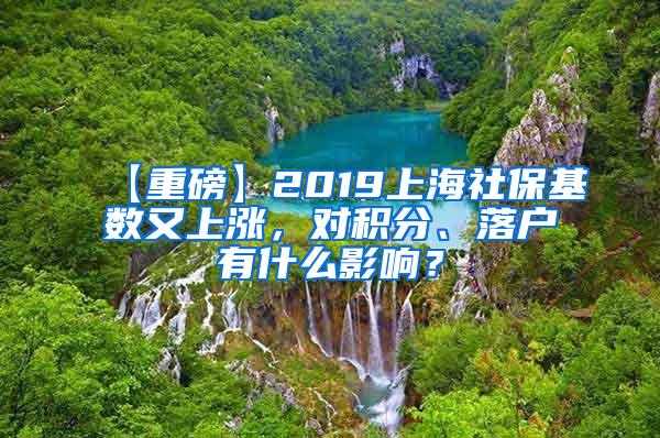 【重磅】2019上海社保基数又上涨，对积分、落户有什么影响？