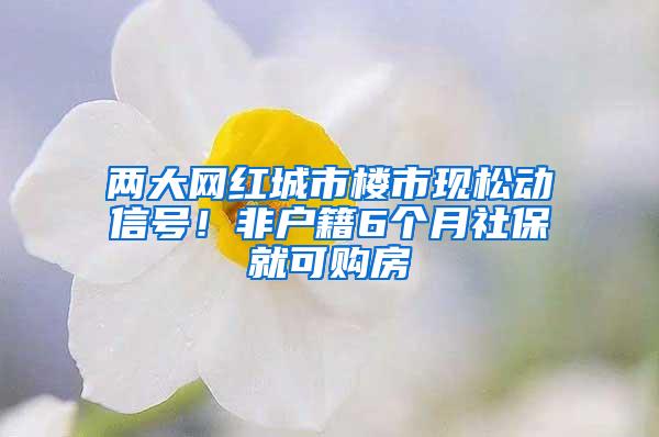 两大网红城市楼市现松动信号！非户籍6个月社保就可购房