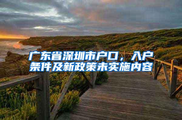 广东省深圳市户口，入户条件及新政策未实施内容