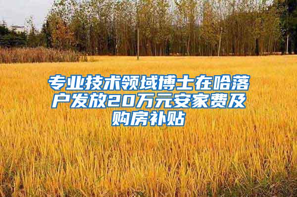 专业技术领域博士在哈落户发放20万元安家费及购房补贴