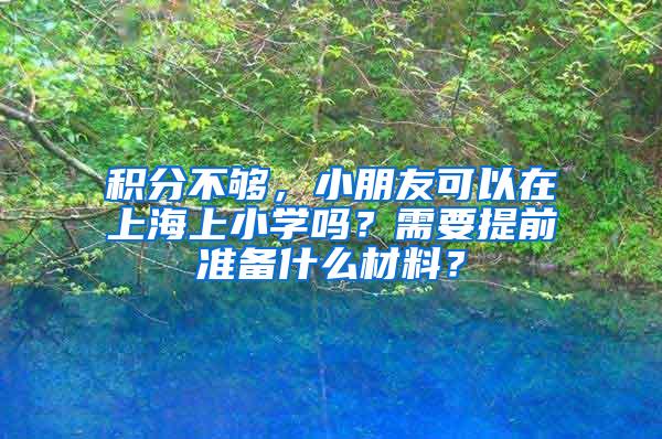 积分不够，小朋友可以在上海上小学吗？需要提前准备什么材料？