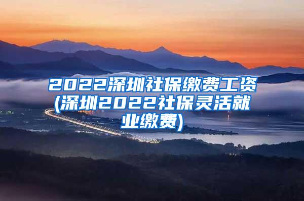 2022深圳社保缴费工资(深圳2022社保灵活就业缴费)