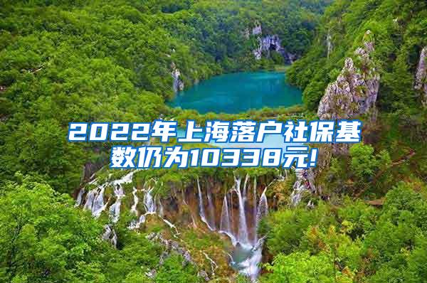 2022年上海落户社保基数仍为10338元!