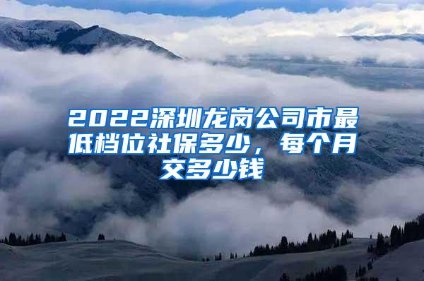 2022深圳龙岗公司市最低档位社保多少，每个月交多少钱