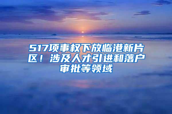 517项事权下放临港新片区！涉及人才引进和落户审批等领域