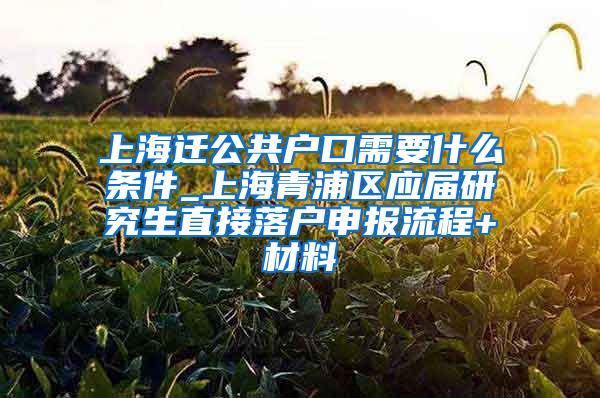 上海迁公共户口需要什么条件_上海青浦区应届研究生直接落户申报流程+材料