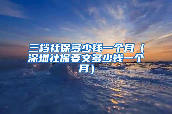 三档社保多少钱一个月（深圳社保要交多少钱一个月）