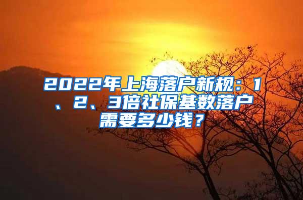 2022年上海落户新规：1、2、3倍社保基数落户需要多少钱？