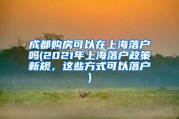 成都购房可以在上海落户吗(2021年上海落户政策新规，这些方式可以落户)