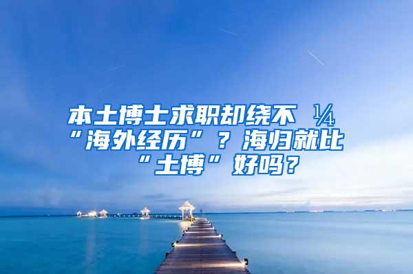 本土博士求职却绕不开“海外经历”？海归就比“土博”好吗？