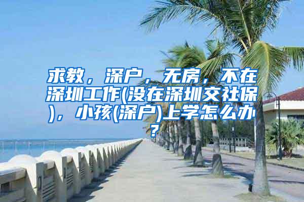 求教，深户，无房，不在深圳工作(没在深圳交社保)，小孩(深户)上学怎么办？