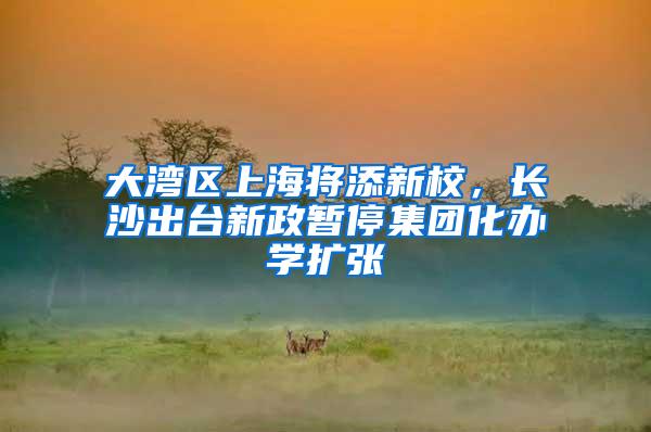 大湾区上海将添新校，长沙出台新政暂停集团化办学扩张