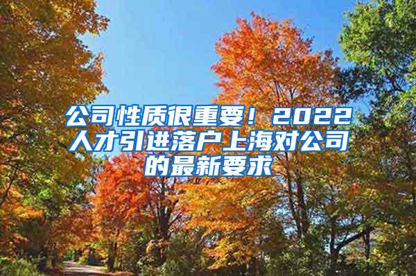 公司性质很重要！2022人才引进落户上海对公司的最新要求