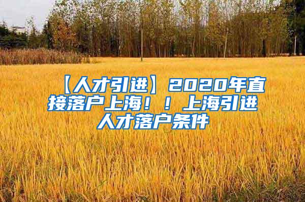 【人才引进】2020年直接落户上海！！上海引进人才落户条件