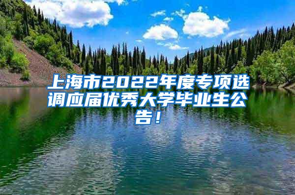 上海市2022年度专项选调应届优秀大学毕业生公告！