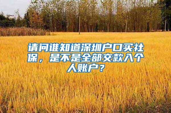 请问谁知道深圳户口买社保，是不是全部交款入个人账户？