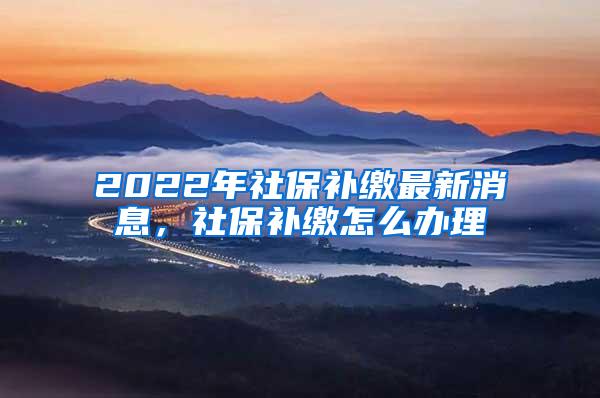 2022年社保补缴最新消息，社保补缴怎么办理