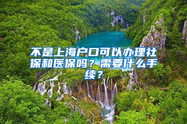 不是上海户口可以办理社保和医保吗？需要什么手续？