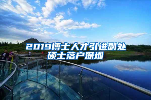 2019博士人才引进副处硕士落户深圳