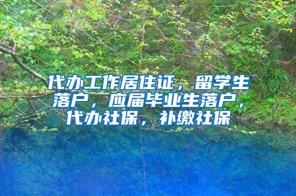 代办工作居住证，留学生落户，应届毕业生落户，代办社保，补缴社保