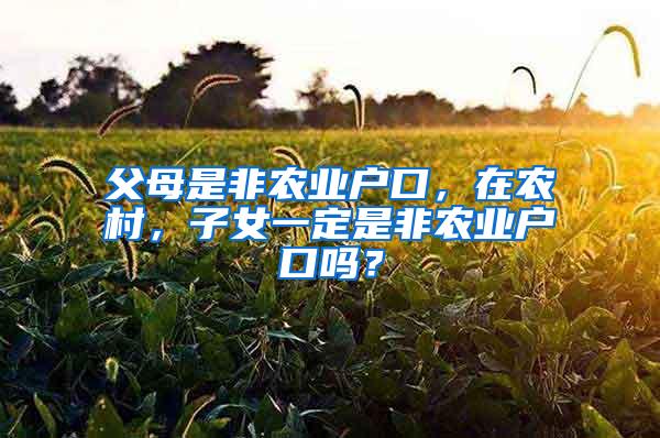 父母是非农业户口，在农村，子女一定是非农业户口吗？