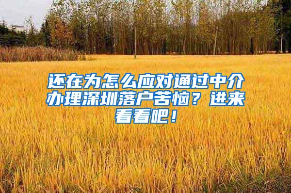 还在为怎么应对通过中介办理深圳落户苦恼？进来看看吧！