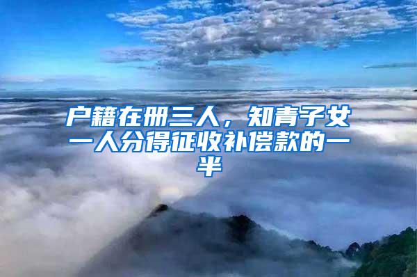 户籍在册三人，知青子女一人分得征收补偿款的一半