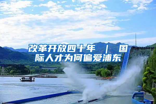改革开放四十年 ｜ 国际人才为何偏爱浦东