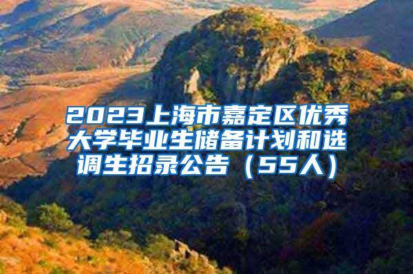 2023上海市嘉定区优秀大学毕业生储备计划和选调生招录公告（55人）