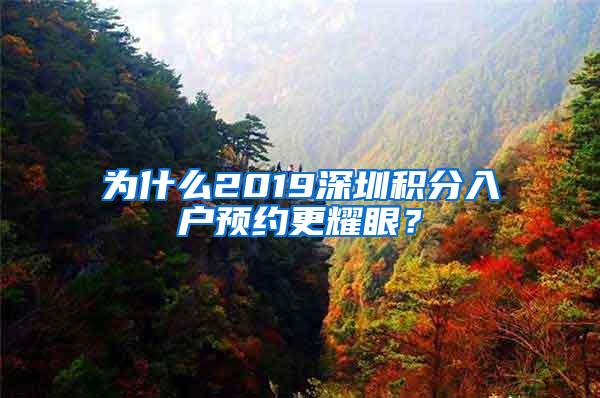 为什么2019深圳积分入户预约更耀眼？