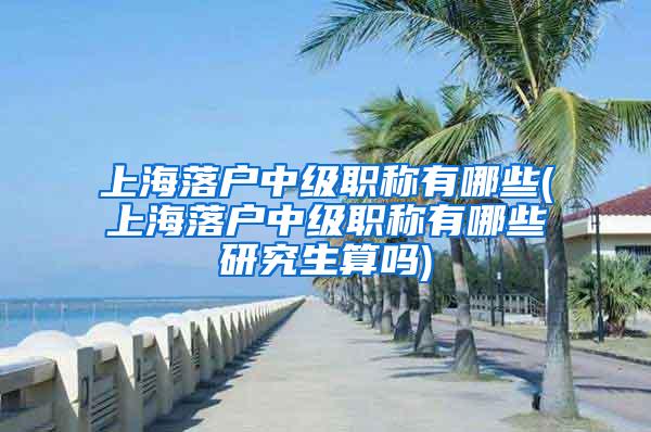 上海落户中级职称有哪些(上海落户中级职称有哪些研究生算吗)