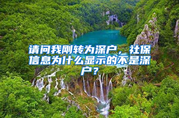 请问我刚转为深户，社保信息为什么显示的不是深户？