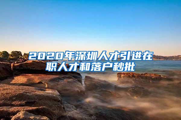 2020年深圳人才引进在职人才和落户秒批