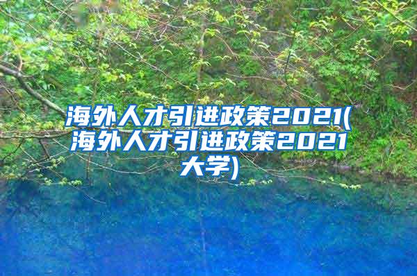 海外人才引进政策2021(海外人才引进政策2021大学)